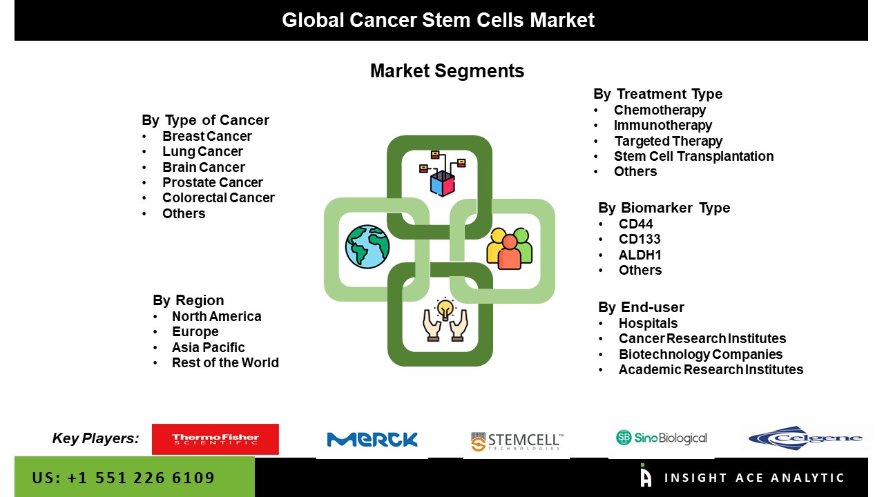 Cancer Stem Cells Market Seg