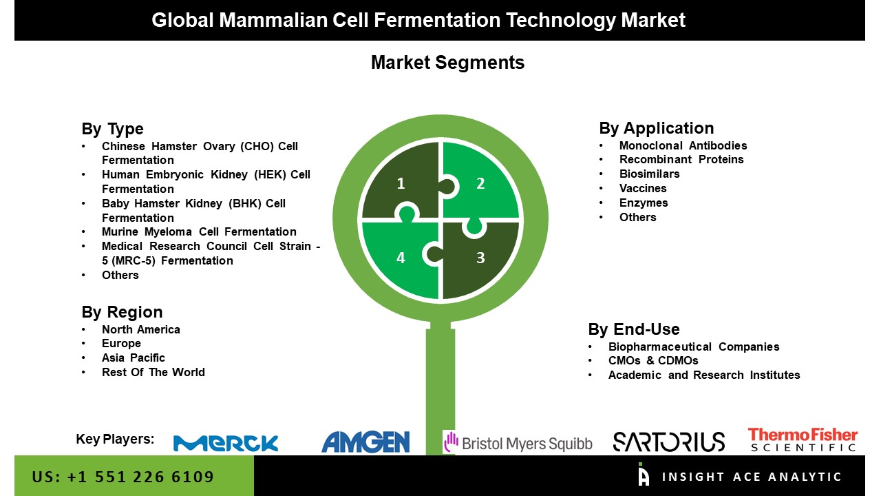 mammalian cell fermentation